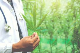 Holistic Healing: Medical Cannabis and its Impact on Arthritis Discomfort