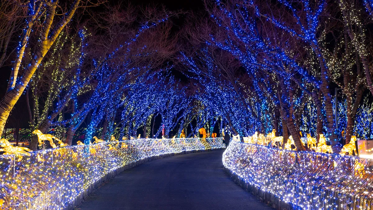 Unveiling the Secrets of Light Spectrum: Illuminating the Colors of the Universe