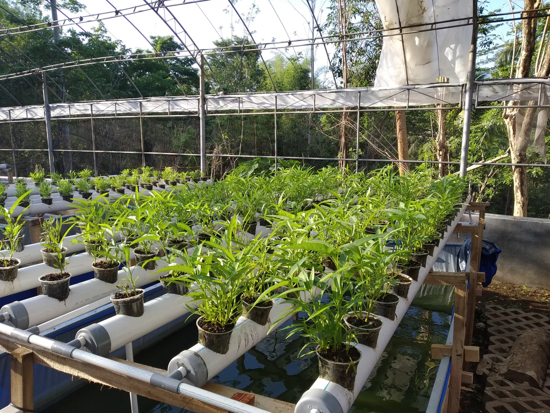 How To Use Hydroponic Trimmer Accessories