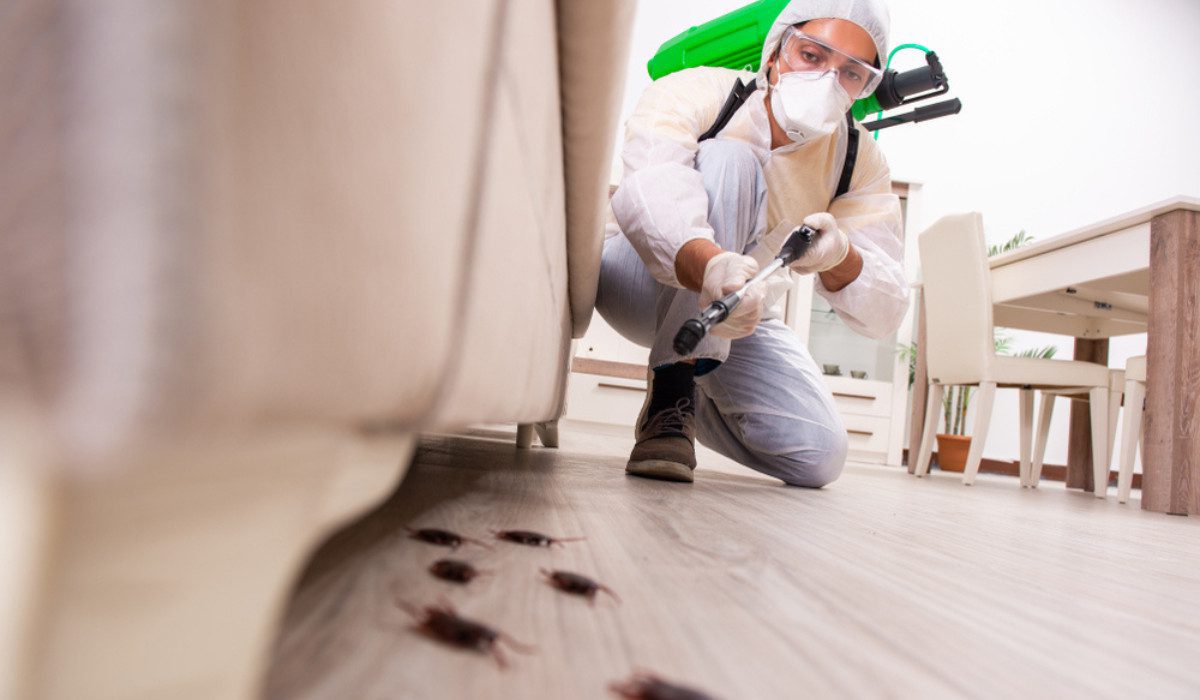 Easy Pest Control Tips For Homeowners