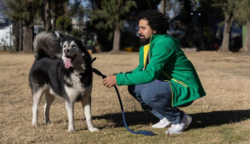 Ultimate Dog Trainer Guide